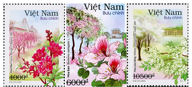 New stamp set features 12 flower seasons of Ha Noi
