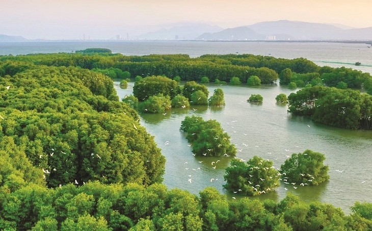 “Bird Islet Ecological Area” creates a green oasis in Binh Dinh