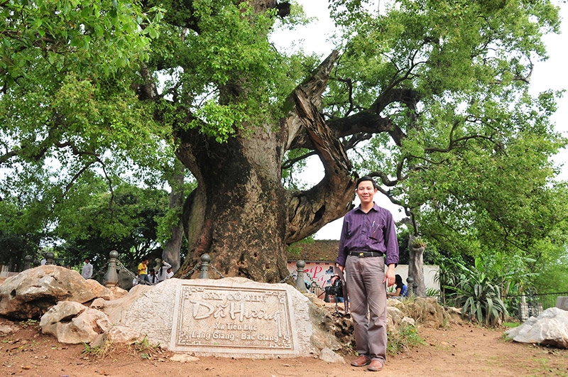 Cây Dã Hương hơn 1.000 năm tuổi - điểm đến hấp dẫn ở Bắc Giang