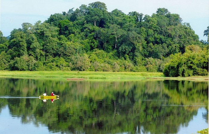 Khám phá Nam Cát Tiên, khu rừng có hệ sinh thái đa dạng bậc nhất Việt Nam