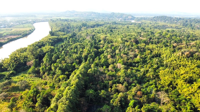 Lâm Đồng bảo tồn đa dạng sinh học cho phát triển bền vững