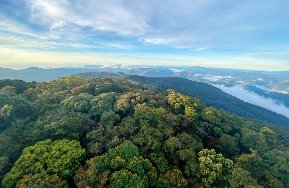 Khám phá hệ sinh thái Vườn Quốc gia Bidoup - Núi Bà (Lâm Đồng)